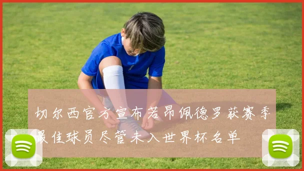 切尔西官方宣布若昂佩德罗获赛季最佳球员尽管未入世界杯名单