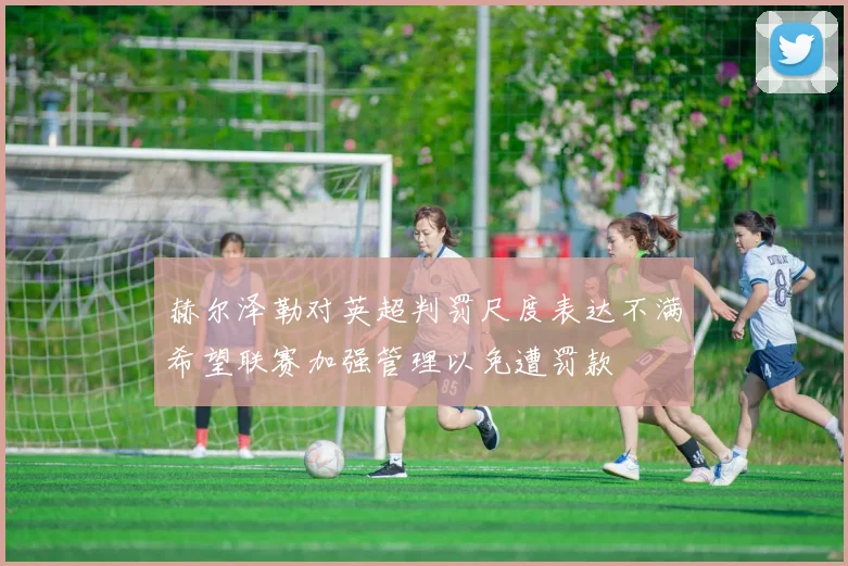 赫尔泽勒对英超判罚尺度表达不满希望联赛加强管理以免遭罚款