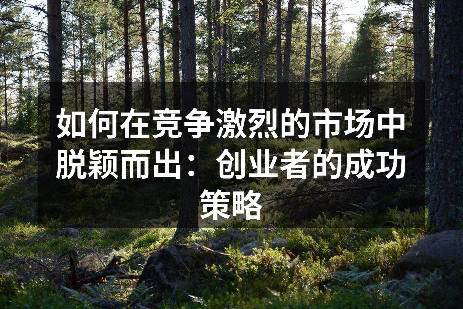 如何在竞争激烈的市场中脱颖而出：创业者的成功策略
