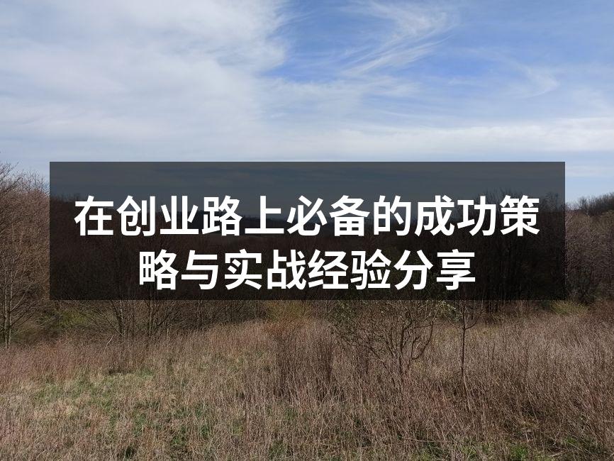 在创业路上必备的成功策略与实战经验分享